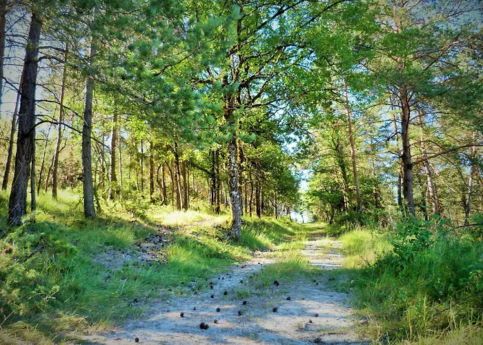 Coquelicot - Familiale